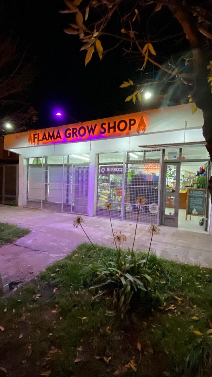 Vista del local Flama Grow Shop iluminado de noche